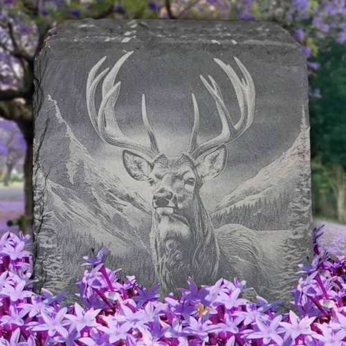 Slate coaster set 4 - coaster,