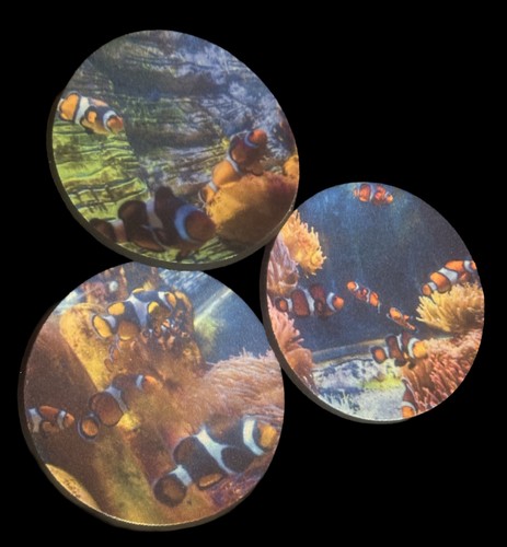Personalised tropical fish - tropical,